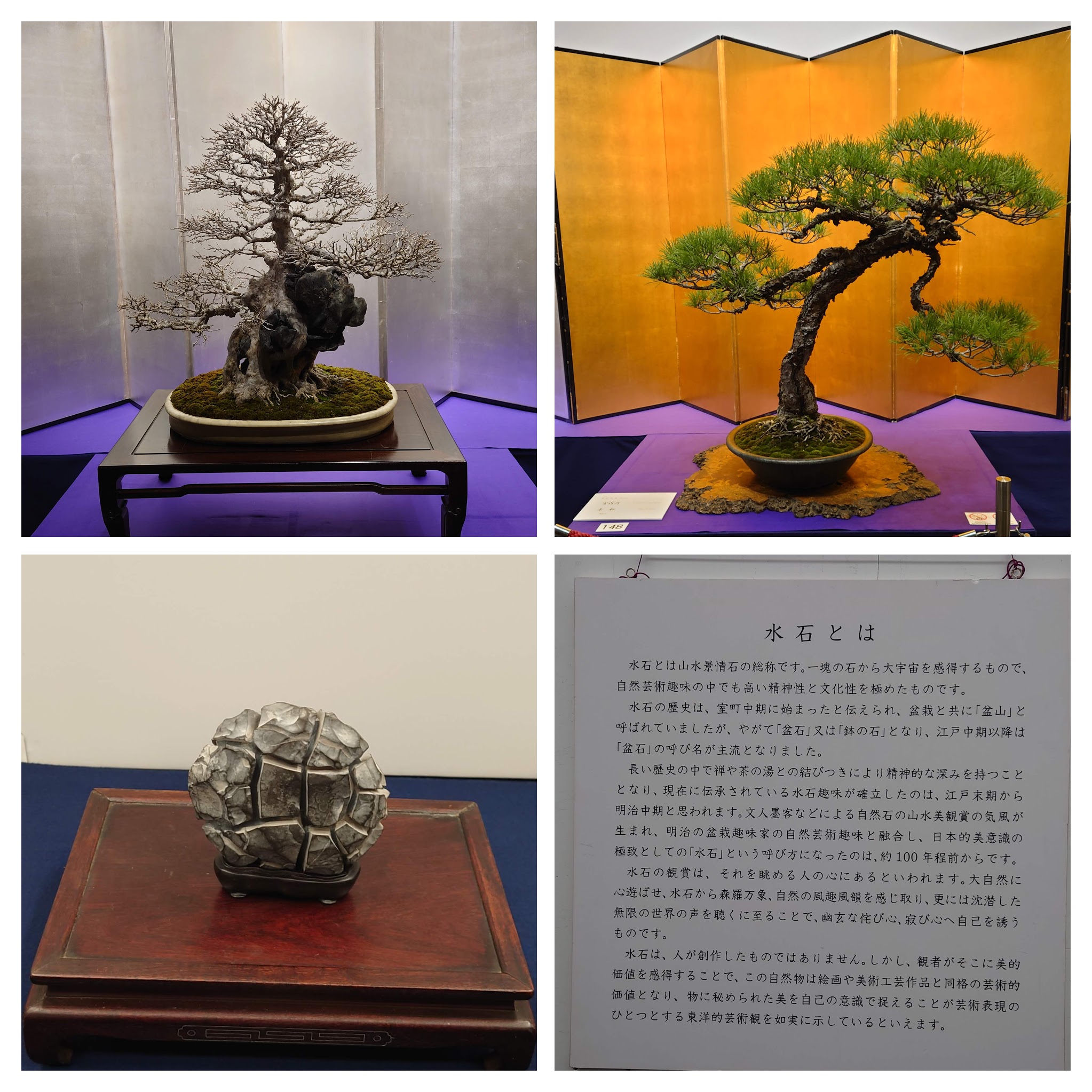 第100回国風盆栽展の展示風景と第63回日本水石名品展のコラージュ。金・銀屏風を背にした名木盆栽2種、台座に据えられた鑑賞石（水石）、および水石の概念を説明する解説パネルの4枚セット。
